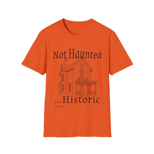 Not Haunted T-Shirt