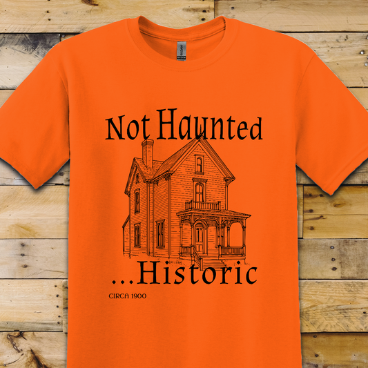 Not Haunted T-Shirt
